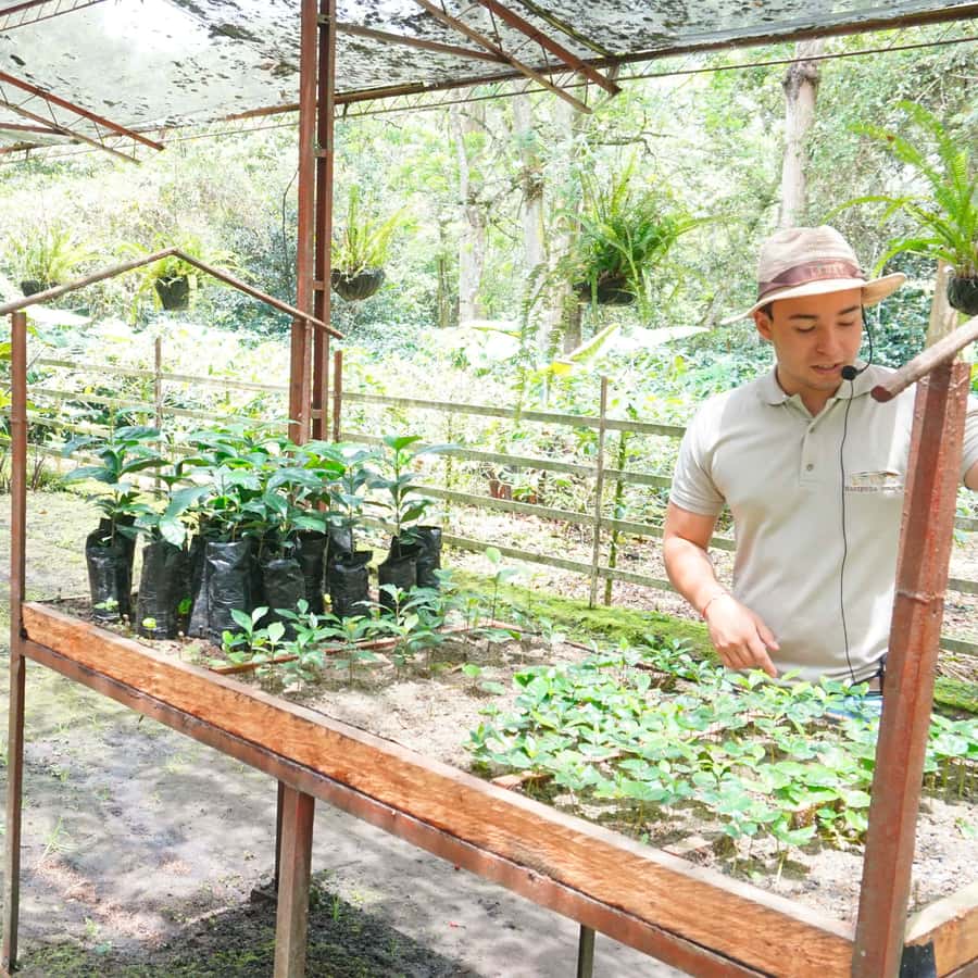 From Bogotá: Coffee Farm and Tequendama Falls Tour - Coffee Farm + Tequendama Falls from Bogotá: what you’re really signing up for