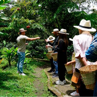 From Bogotá: Coffee Farm and Tequendama Falls Tour - Price and value: is $85 a good deal?