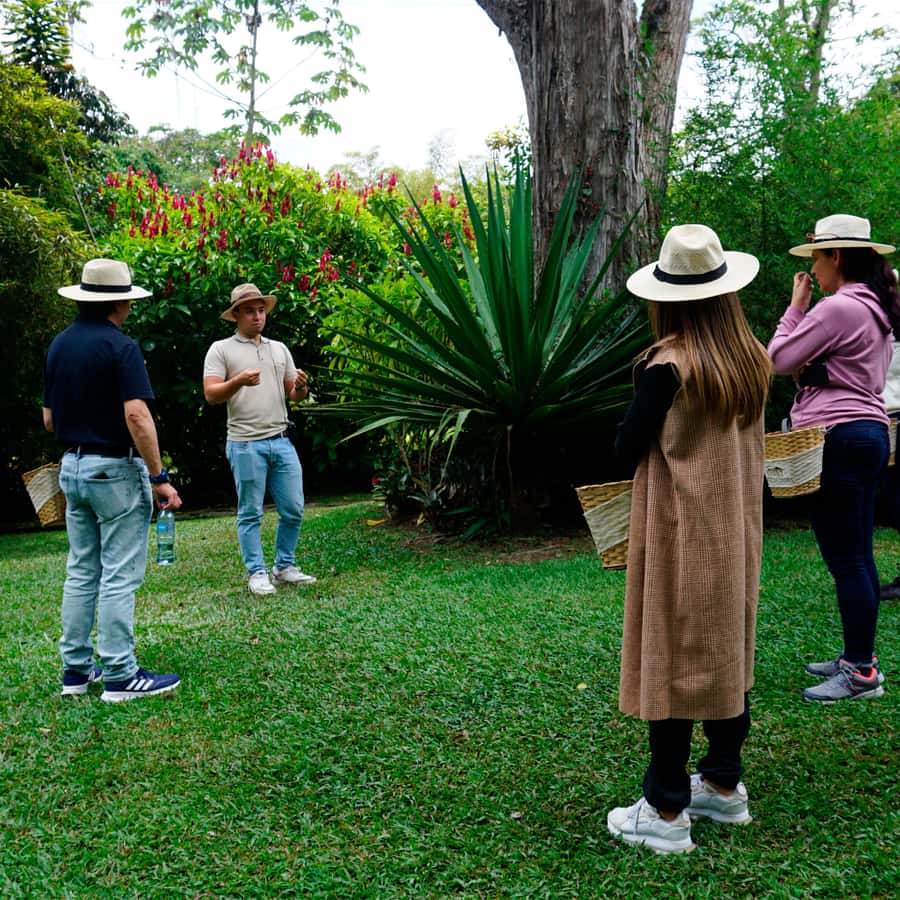 From Bogotá: Coffee Farm and Tequendama Falls Tour - Guides and drivers: how the personalities shape the day