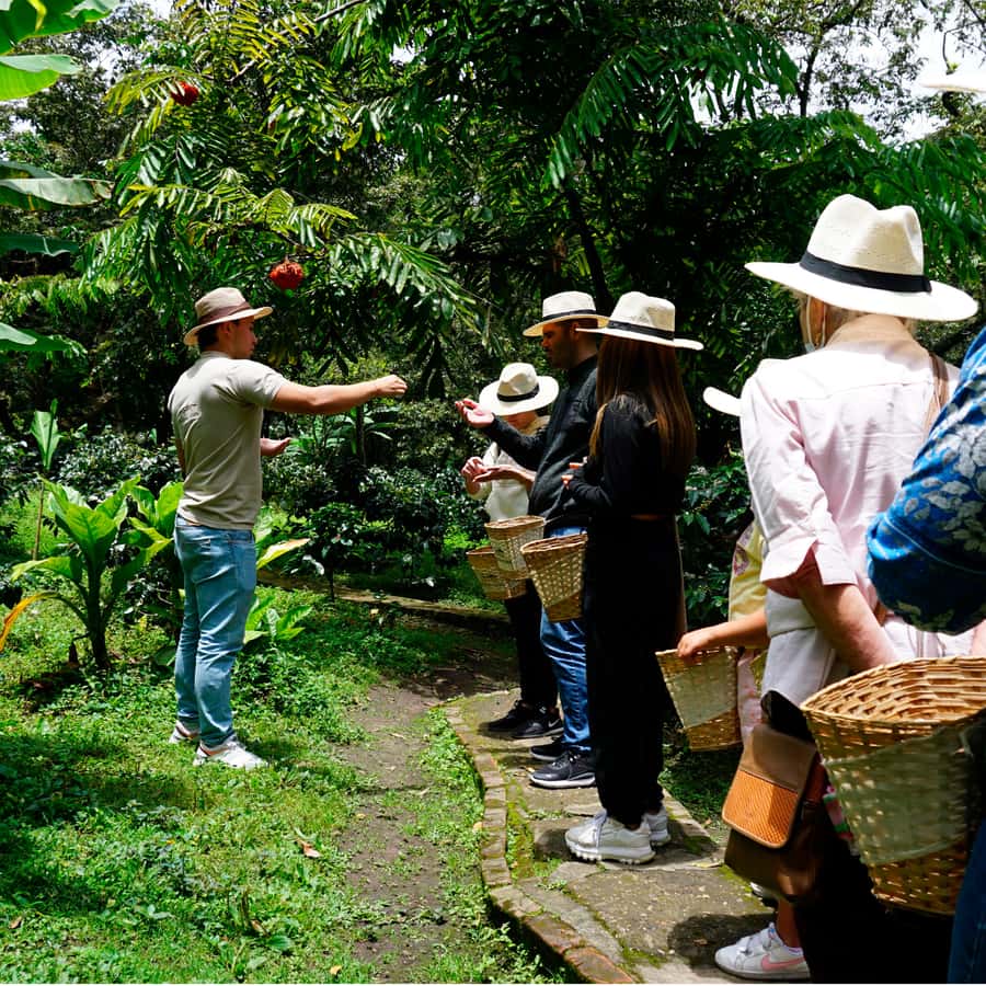 From Bogotá: Coffee Farm and Tequendama Falls Tour - Price and value: is $85 a good deal?