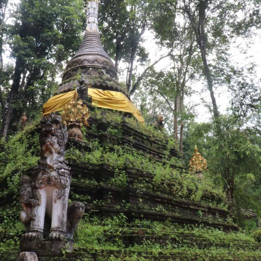 From Chiang Mai: Temples, Sticky Waterfall, and Orchid Farm - A quick note on the Wat Pha Lat schedule switch in 2026