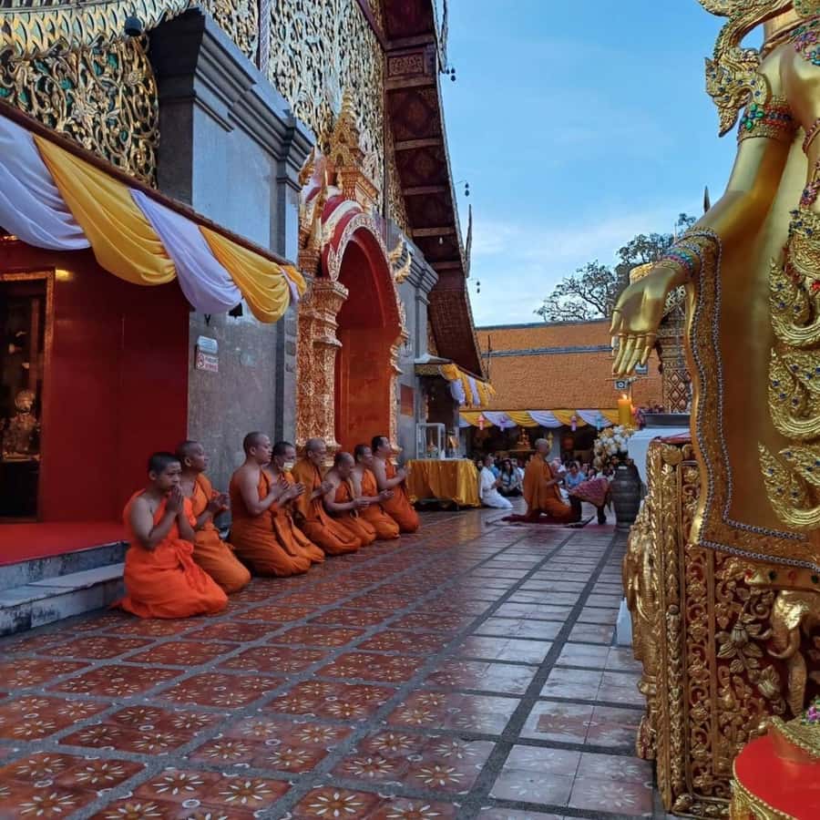 From Chiang Mai: Temples, Sticky Waterfall, and Orchid Farm - The 7–8 hour loop: pace, transport, and how to fit it to your day