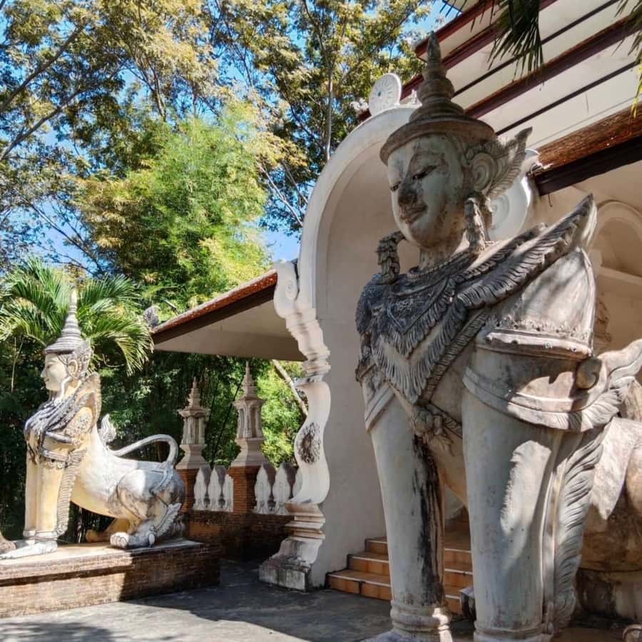 From Chiang Mai: Temples, Sticky Waterfall, and Orchid Farm - Price and value: what $80 buys you in real time