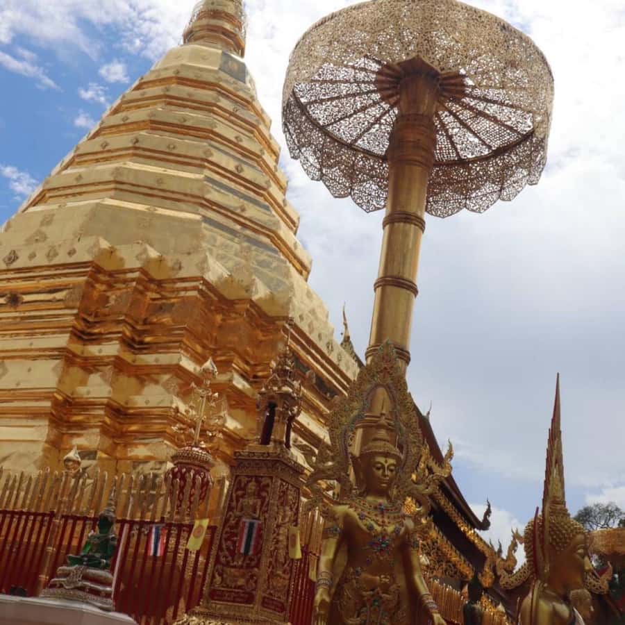 From Chiang Mai: Temples, Sticky Waterfall, and Orchid Farm - Who this tour suits best (and who might skip it)