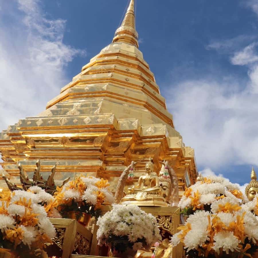 From Chiang Mai: Temples, Sticky Waterfall, and Orchid Farm - Doi Suthep and the Golden Pagoda: views plus a relic story