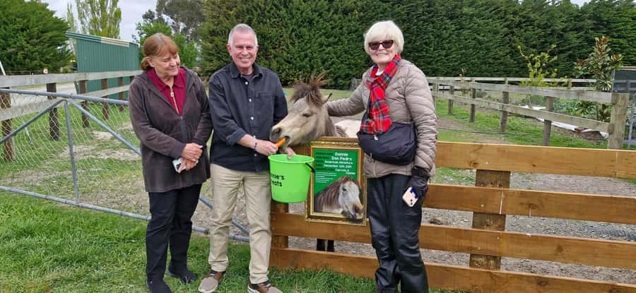 From Christchurch: Sheep Farm Experience with Lunch & Winery - Sheep Shearing on a Real 770-Hectare Farm Near Christchurch