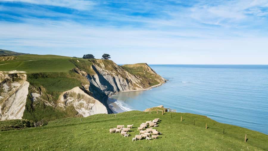 From Christchurch: Sheep Farm Experience with Lunch & Winery - Getting Out of the City: Pickup, Photo Stop, and the Canterbury Drive
