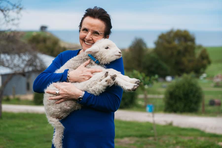From Christchurch: Sheep Farm Experience with Lunch & Winery - Louise’s Lookout Picnic Lunch: Ocean Views and Real-World Food