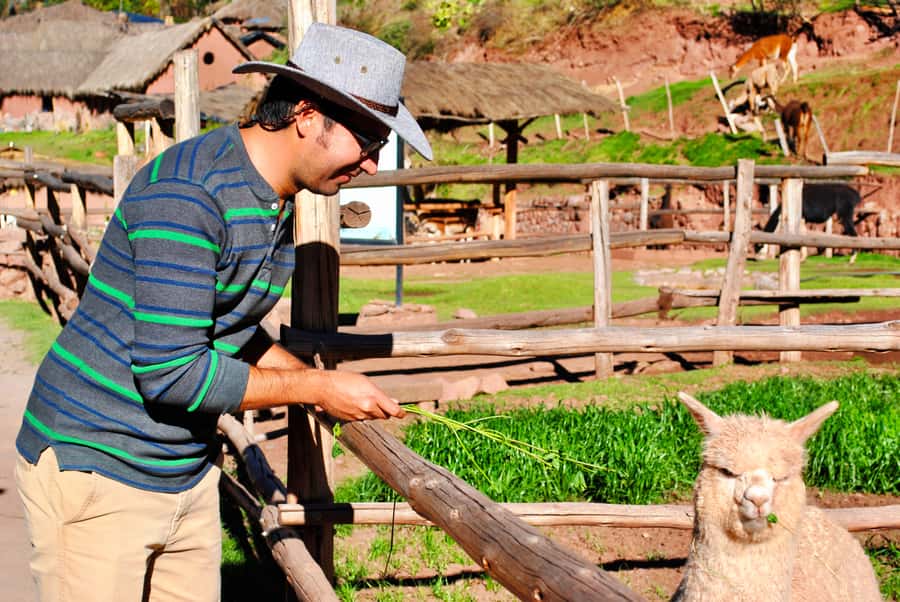 From Cusco: Private Pisac Ruins and Alpaca Farm Day Trip - Pisac, Private Guide, and the Sacred Valley Drive: Why This Combo Works