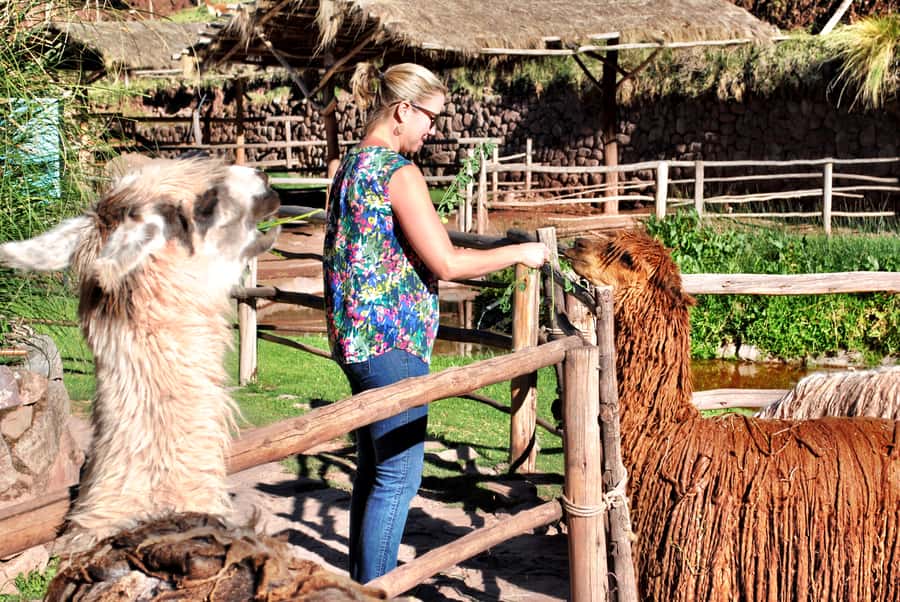 From Cusco: Private Pisac Ruins and Alpaca Farm Day Trip - Hotel Pickup to Manos de la Comunidad: Get Oriented Before the Ruins