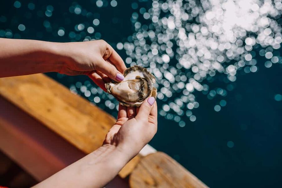 From Dubrovnik: Mali Ston Oysters Farm & Boat Experience - Boarding a Traditional Wooden Boat: Simple, Scenic, Practical