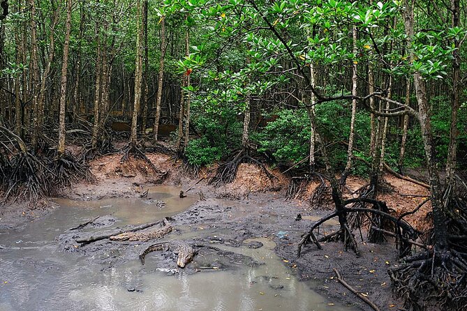 From Ho Chi Minh: Can Gio Trek – Monkey Island & Crocodile Farm - Hoa Ca Crocodile Farm: Interesting, But Not a Long Show