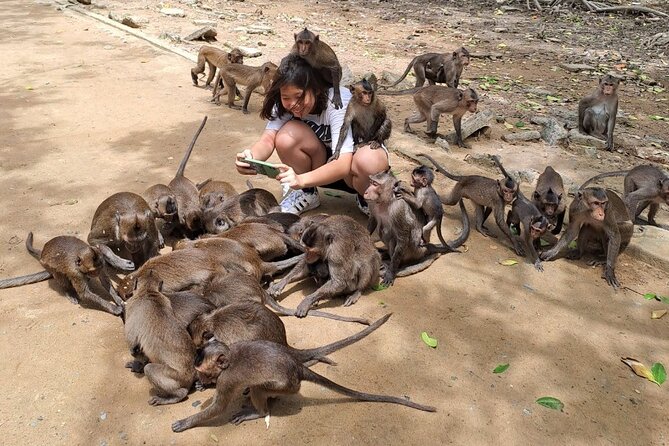 From Ho Chi Minh: Can Gio Trek – Monkey Island & Crocodile Farm - Cần Giờ Seafood Market and Lunch by the Sea