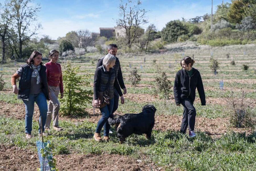 From location: Truffle farm visit, culinary workshop, meal - Key moments that make this truffle tour work