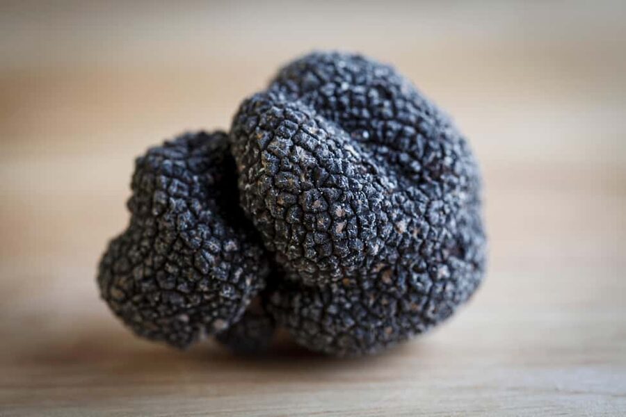 From location: Truffle farm visit, culinary workshop, meal - FAQ
