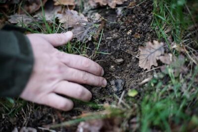From location: Truffle farm visit, culinary workshop, meal - Getting There: Time It Takes from Avignon, Nîmes, and Montpellier