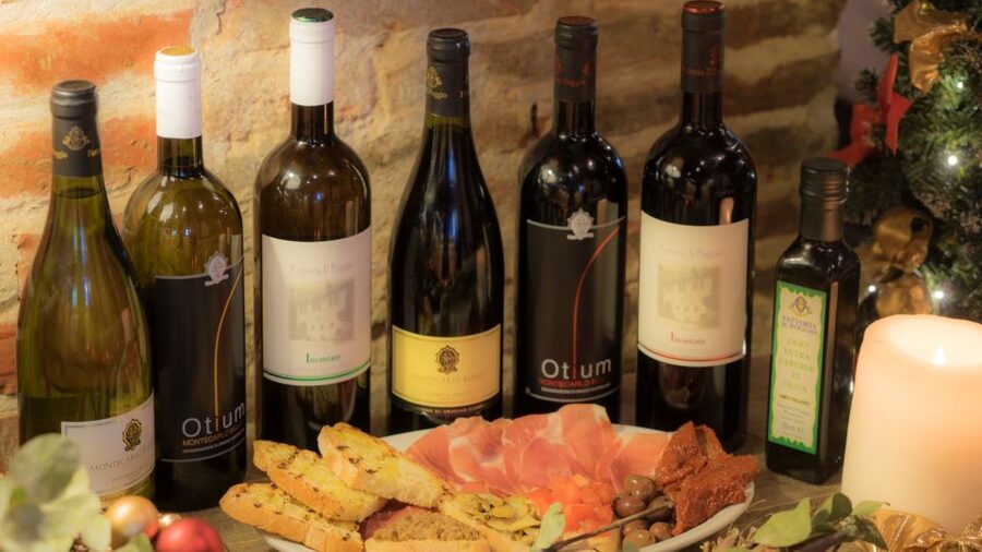 From Montecatini Terme: Wine Experience in Tuscan Farm - The farmhouse visit: vineyards, olive groves, and a quick reality check