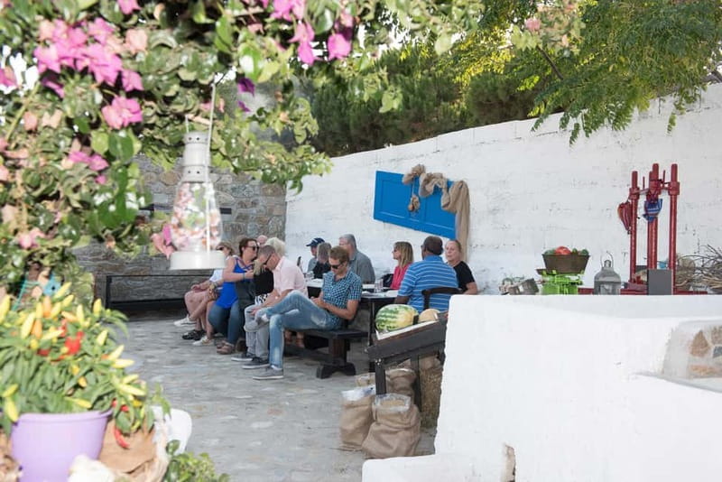 From Mykonos: Ano Mera Farm Tour - Quick Practical Tips So You Get the Most