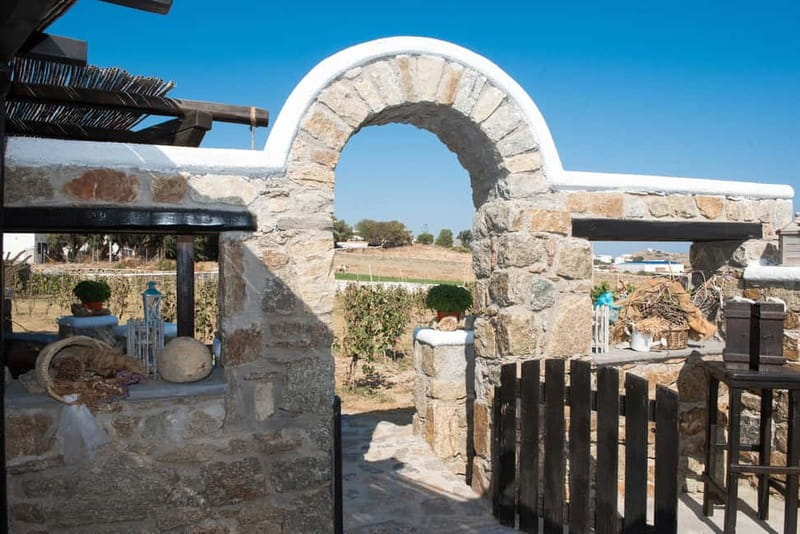 From Mykonos: Ano Mera Farm Tour - The Hands-On Farming Part: What You Can Do in 2.5 Hours