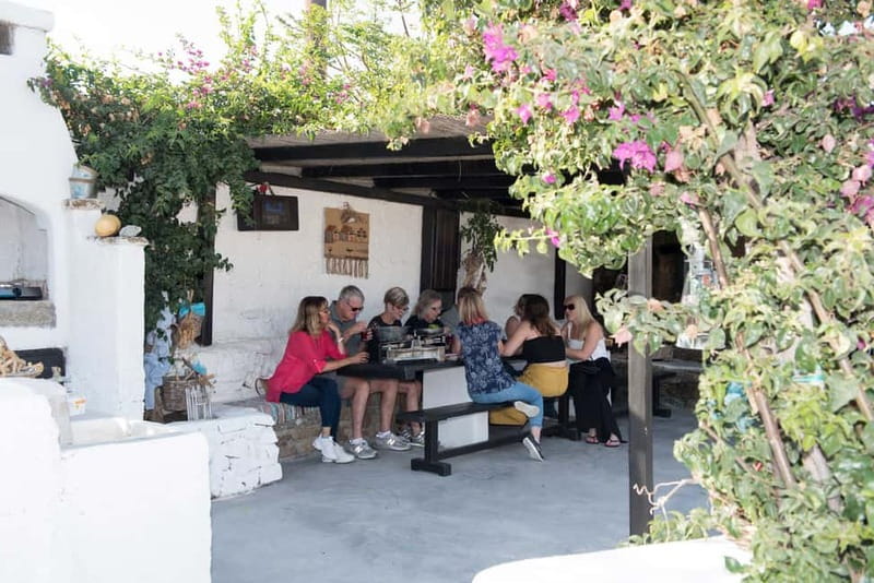 From Mykonos: Ano Mera Farm Tour - Seasonal Garden Moments: Cutting Produce and Understanding the Crop Cycle