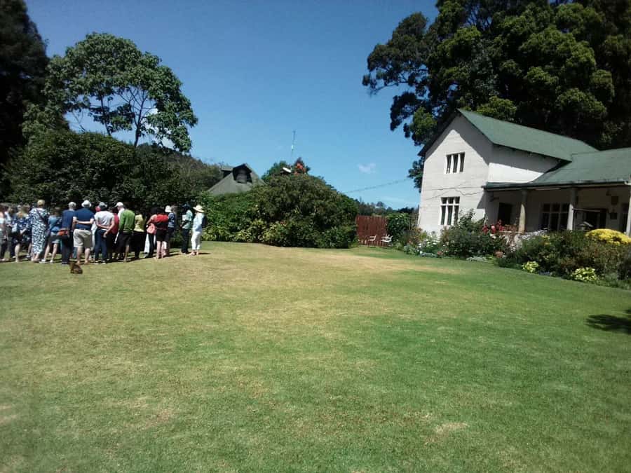 From Nairobi: Kiambethu Tea Farm Tour & Lunch - Lunch at the estate: how to turn a meal into part of the tour