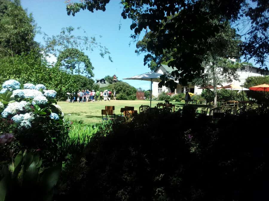 From Nairobi: Kiambethu Tea Farm Tour & Lunch - The practical details that shape your comfort