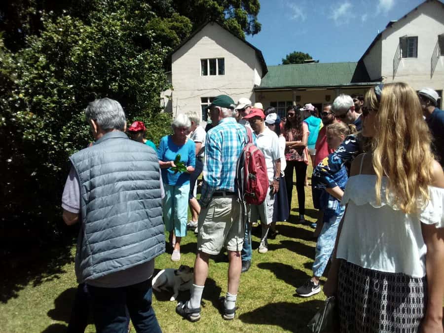 From Nairobi: Kiambethu Tea Farm Tour & Lunch - Who should book this tour, and who should skip it