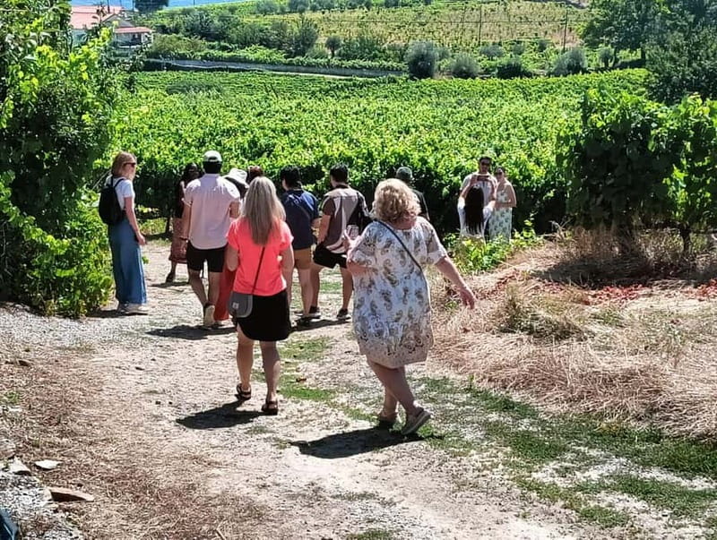 From Porto: 2 Wine Regions, Farm Lunch, and Boat Ride - Pickup at Trindade, then straight into the wine-country route