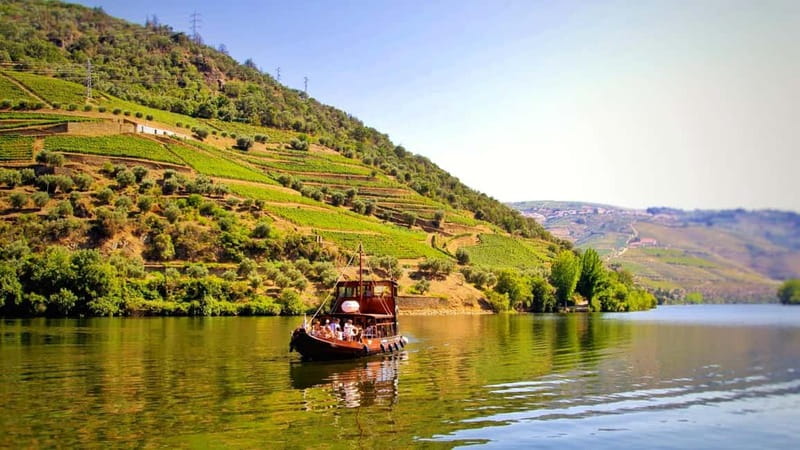 From Porto: 2 Wine Regions, Farm Lunch, and Boat Ride - Miradouro São Cristovão: a quick photo stop with big payoff