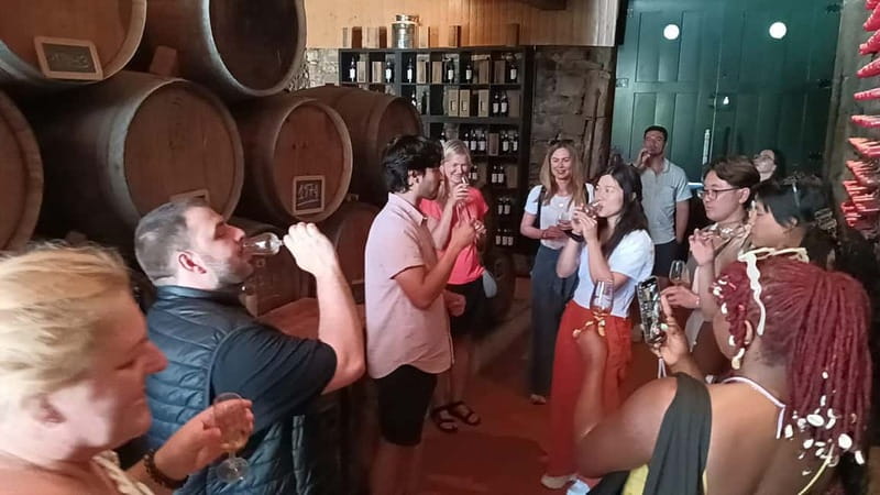 From Porto: 2 Wine Regions, Farm Lunch, and Boat Ride - Vilarinho de São Romão: the second family-run estate and more tastings