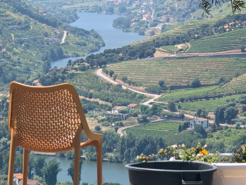 From Porto: 2 Wine Regions, Farm-to-Table Lunch & Boat - Price and Value: What $94 Really Buys You