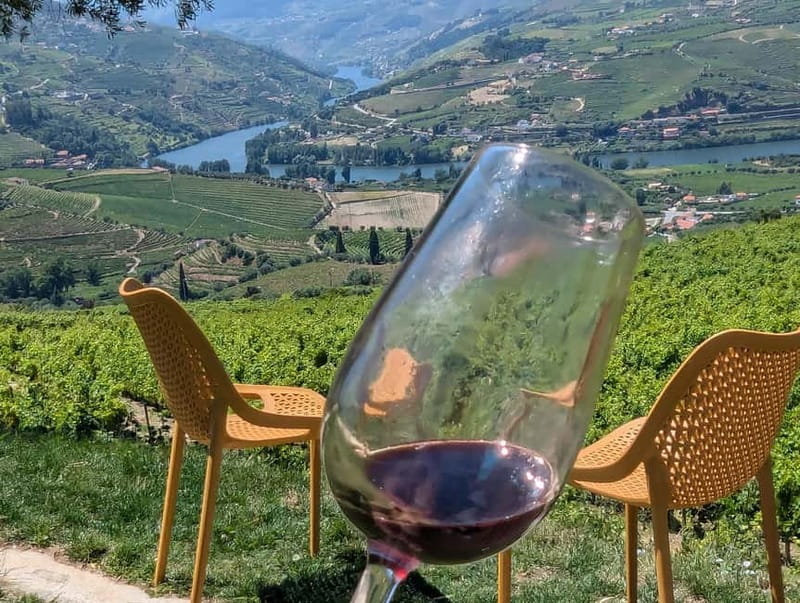 From Porto: 2 Wine Regions, Farm-to-Table Lunch & Boat - Douro Valley Viewpoints and the Fire-Opened Vintage Porto Moment