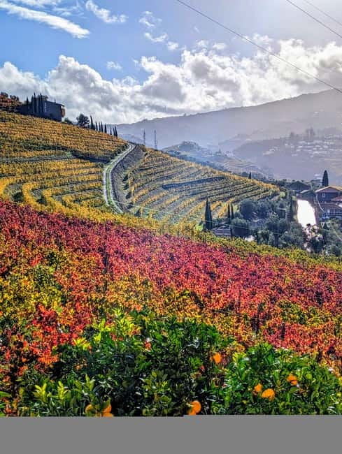 From Porto: 2 Wine Regions, Farm-to-Table Lunch & Boat - Farm-to-Table Dining: Lunch, Brunch, or Dinner With Regional Food on the Estate