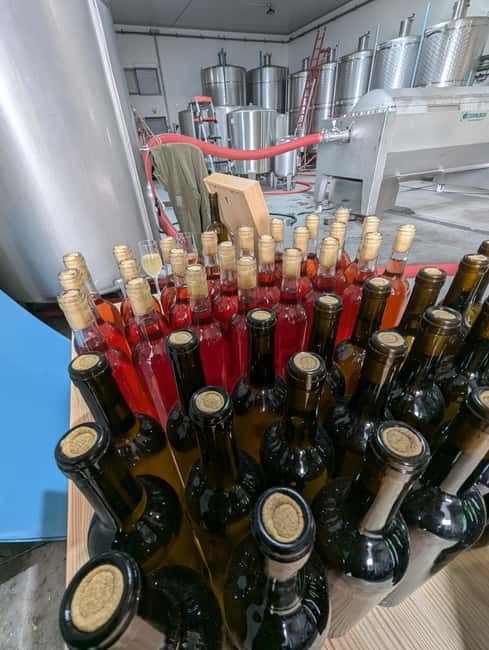From Porto: 2 Wine Regions, Farm-to-Table Lunch & Boat - The Wine Lineup: 10 Tastings, Plus Porto and Olive Oil