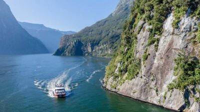 From Queenstown: Coach, Farm Tour & Milford Nature Cruise - Te Anau farm tour: sheep, working dogs, and morning tea
