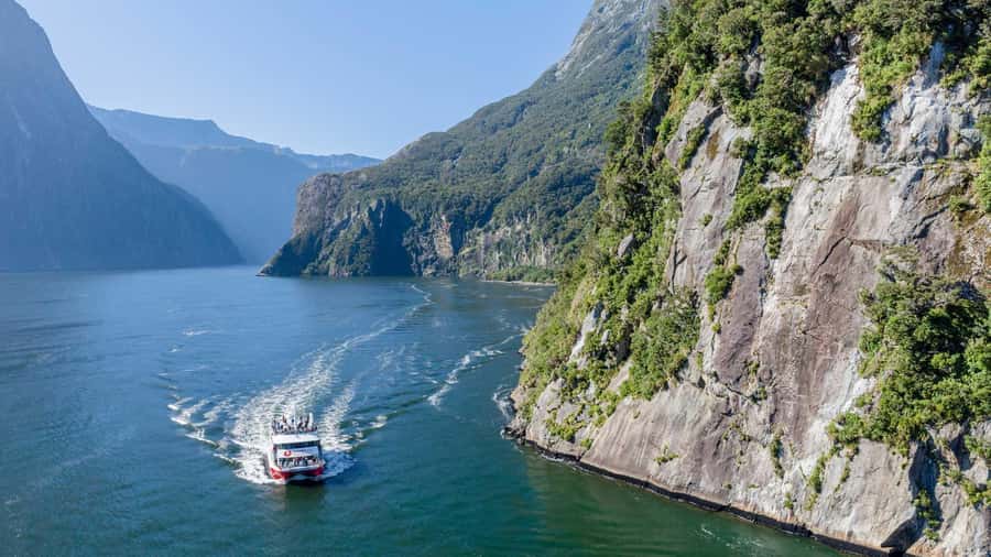 From Queenstown: Coach, Farm Tour & Milford Nature Cruise - Te Anau farm tour: sheep, working dogs, and morning tea