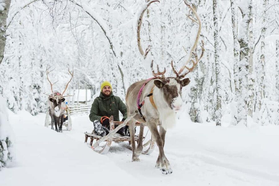 From Rovaniemi: Reindeer Farm Visit with Sleigh Ride - Key highlights