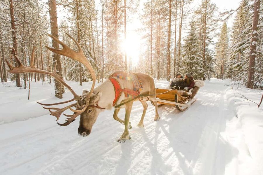 From Rovaniemi: Reindeer Farm Visit with Sleigh Ride - Arriving at the reindeer farm: seeing Sámi life firsthand