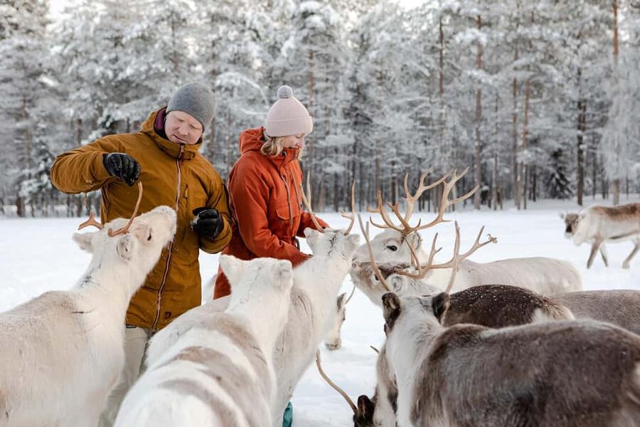 From Rovaniemi: Reindeer Farm Visit with Sleigh Ride - The wooden sleigh ride: 400–500 meters of winter magic