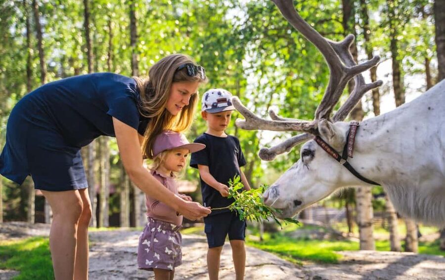 From Rovaniemi: Reindeer Farm Visit with Sleigh Ride - What’s included, what’s not, and how that affects your day