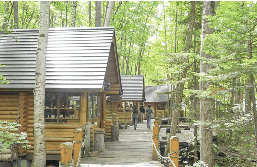 From Sapporo : Hokkaido Furano Tomita Farm Joiner Tour - Winter Swap (Nov–Mar): Zoo + Ken and Mary Tree Instead of Just Flowers