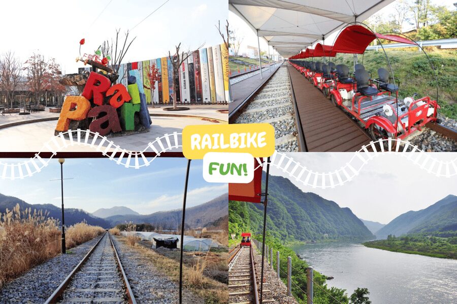 From Seoul: Full Day Trip to Alpaca Farm with Rail Bike - Key takeaways before you go