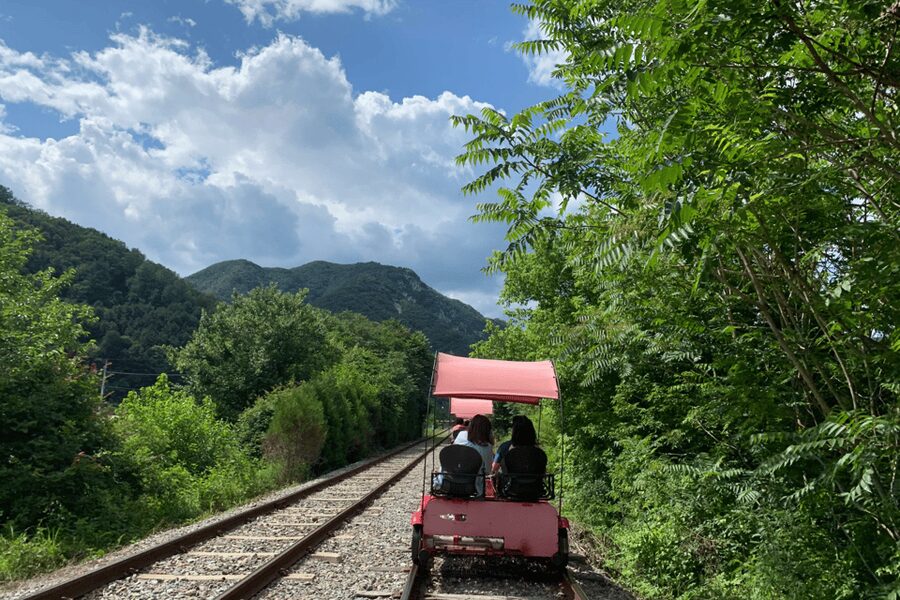From Seoul: Full Day Trip to Alpaca Farm with Rail Bike - Vivaldi Park luge: an adrenaline hit with strict rules