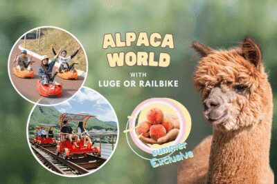 From Seoul: Full Day Trip to Alpaca Farm with Rail Bike - Gangchon Rail Park rail bikes: 8.5 km of mostly-downhill calm (with scenery)