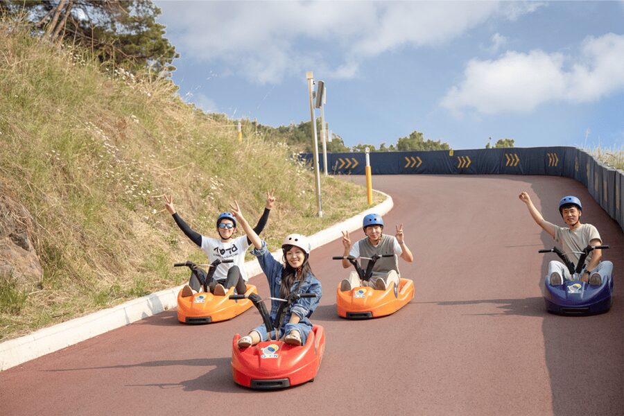 From Seoul: Full Day Trip to Alpaca Farm with Rail Bike - Lunch time: plan for your own food stop