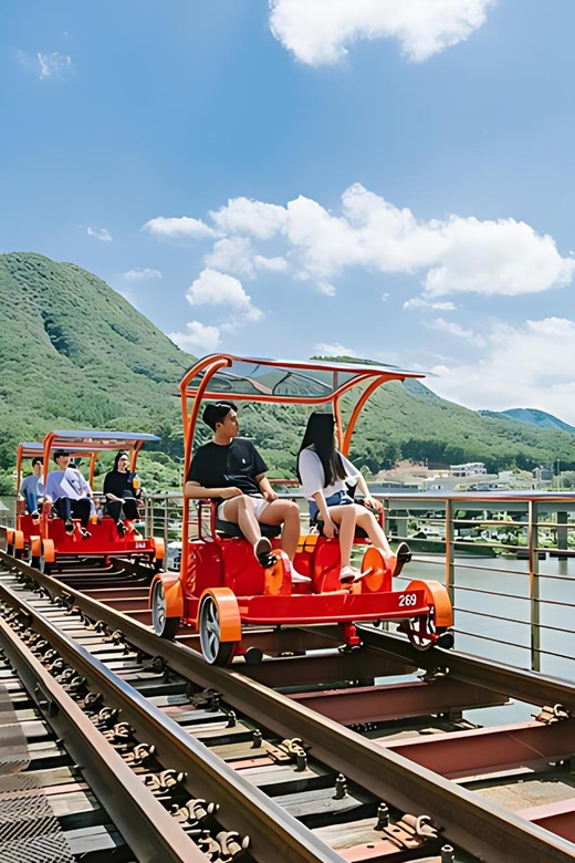 From Seoul: Full Day Trip to Alpaca Farm with Rail Bike - Who the guides are like: smooth pacing, friendly energy