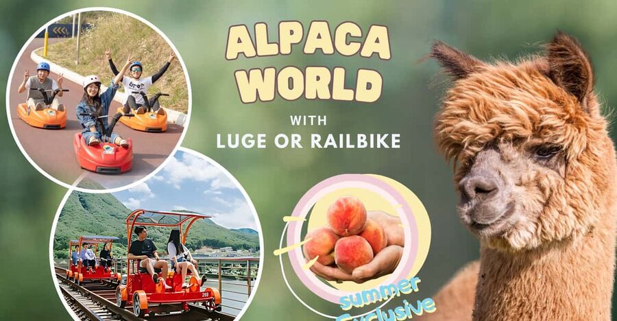 From Seoul: Full Day Trip to Alpaca Farm with Rail Bike - Logistics that actually matter: meeting points, staying together, drop-off