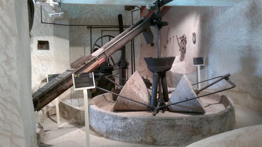 From Seville: Olive Oil Farm Tour - Key highlights worth your attention