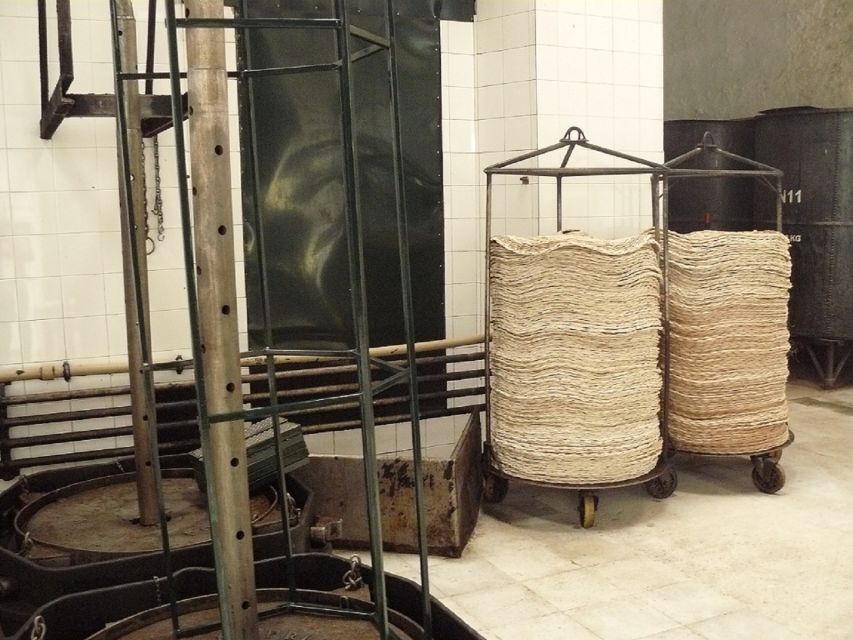 From Seville: Olive Oil Farm Tour - The small factory tour: machines, process, and what physical methods mean