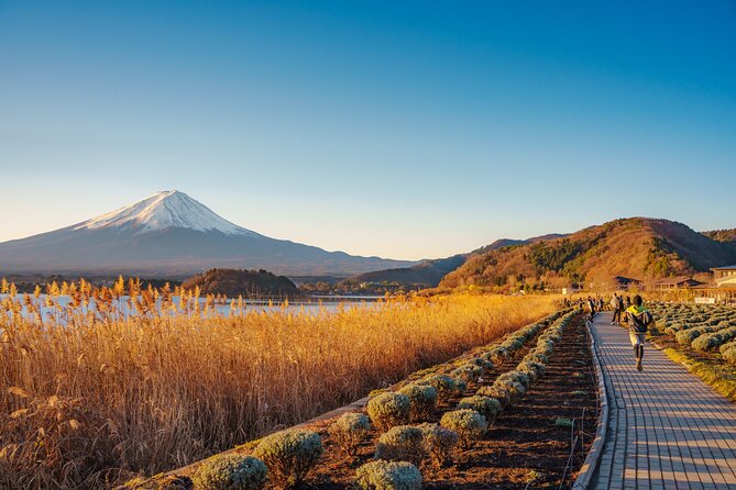 From Tokyo Mt.Fuji, Lake Kawaguchi, Makaino Farm day tour - Tokyo Station to Fuji: The 10-Hour Plan That Keeps Moving